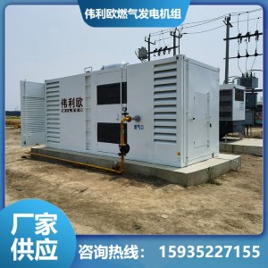 偉利歐 WL320 燃?xì)獍l(fā)電機(jī) 高加工強(qiáng)度 高質(zhì)量的AVR